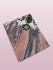BEDSHEET MEERUT PRINTED 90X108 2 PILLOW COVER